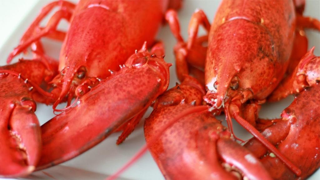 Budnik Lobster Fest outdoor summer party